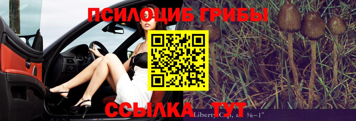 Псилоцибиновые грибы Magic Shrooms Стрежевой